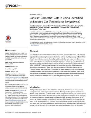 Earliest “Domestic” Cats in China Identified As Leopard Cat (Prionailurus Bengalensis)