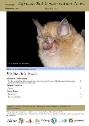African Bat Conservation News