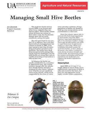 Managing Small Hive Beetles