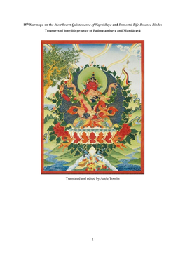 1 15Th Karmapa on the Most Secret Quintessence of Vajrakīlaya and Immortal Life-Essence Bindu: Treasures of Long-Life Practice