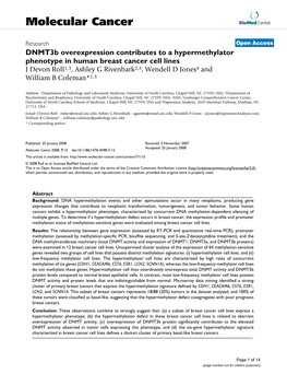 Dnmt3b Overexpression Contributes to a Hypermethylator Phenotype in Human Breast Cancer Cell Lines
