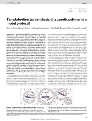 Template-Directed Synthesis of a Genetic Polymer in a Model Protocell