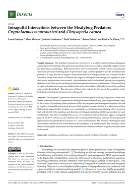 Intraguild Interactions Between the Mealybug Predators Cryptolaemus Montrouzieri and Chrysoperla Carnea