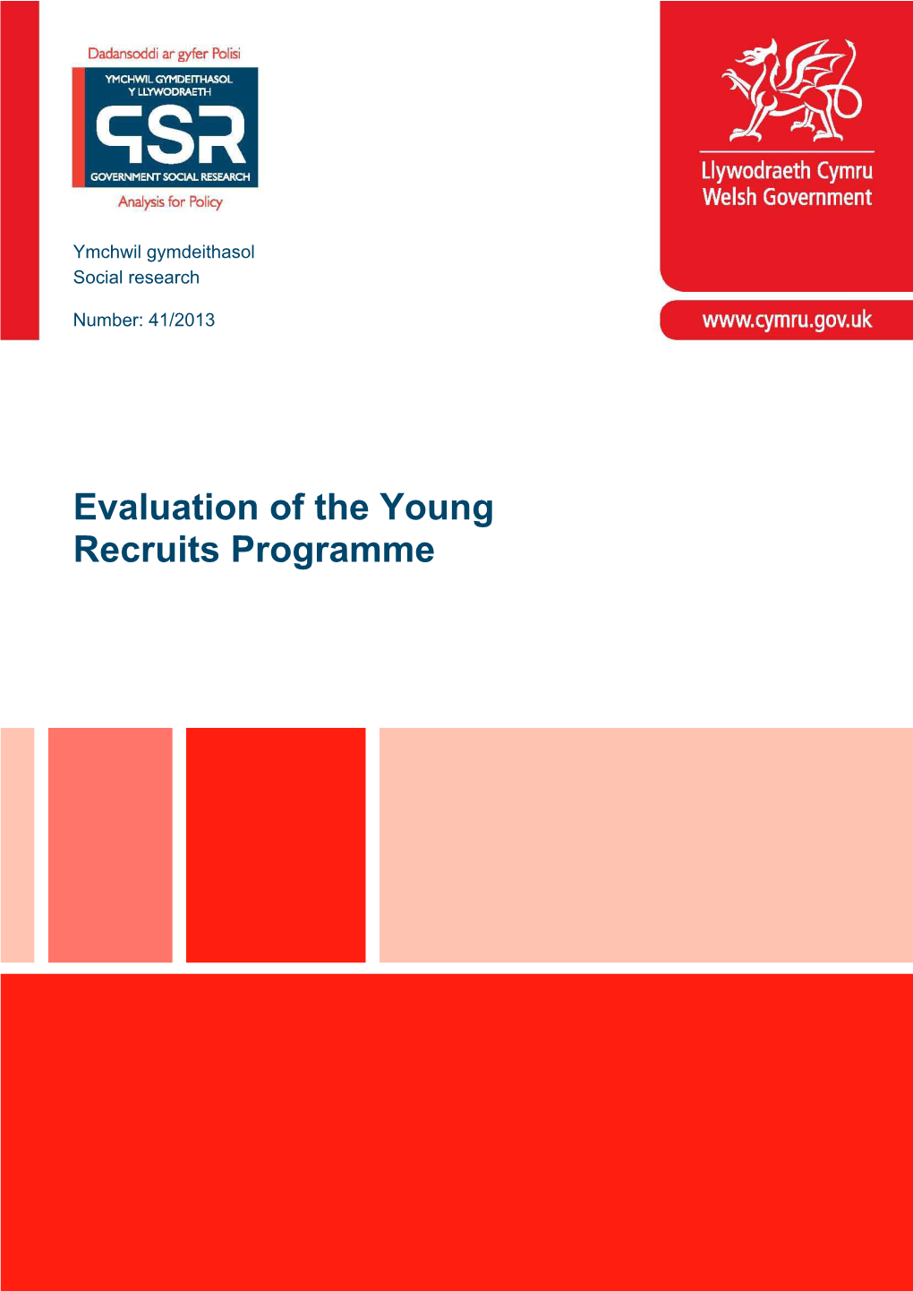 Evaluation of the Young Recruits Programme