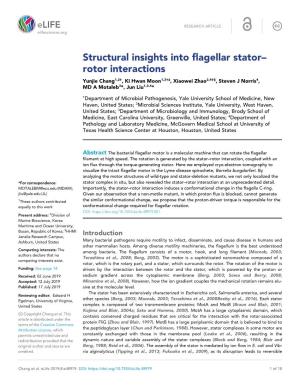 Structural Insights Into Flagellar Stator– Rotor Interactions Yunjie Chang1,2†, Ki Hwan Moon1,3†‡, Xiaowei Zhao2,4†§, Steven J Norris4, MD a Motaleb3*, Jun Liu1,2,4*