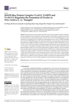 MADS-Box Protein Complex Vvag2, Vvsep3 and Vvagl11 Regulates the Formation of Ovules in Vitis Vinifera L