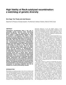 High Fidelity of Reca-Catalyzed Recombination: a Watchdog of Genetic Diversity