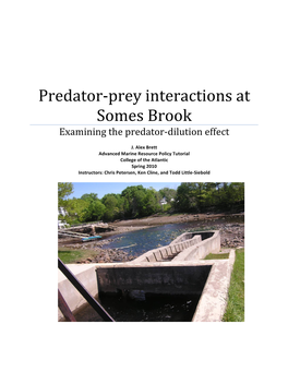 Predator-‐Prey Interactions at Somes Brook
