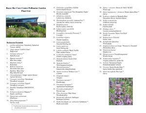 Bayer Bee Care Center Pollinator Garden Plant List