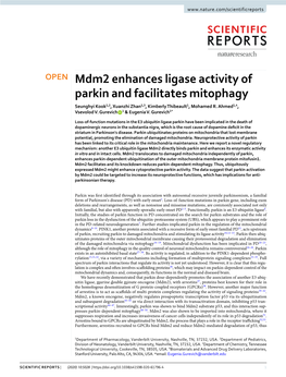 Mdm2 Enhances Ligase Activity of Parkin and Facilitates Mitophagy Seunghyi Kook1,2, Xuanzhi Zhan1,3, Kimberly Thibeault1, Mohamed R