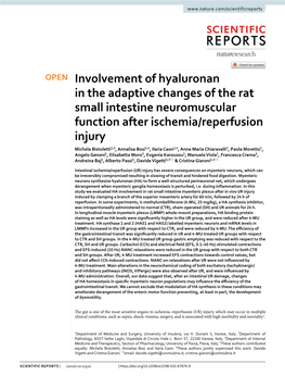 Involvement of Hyaluronan in the Adaptive Changes of the Rat Small