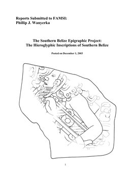 The Hieroglyphic Inscriptions of Southern Belize