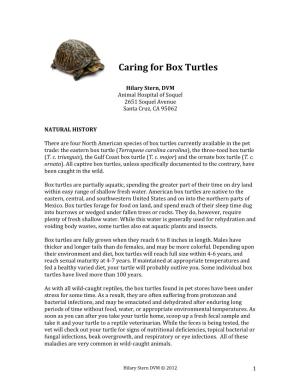 Caring for Box Turtles