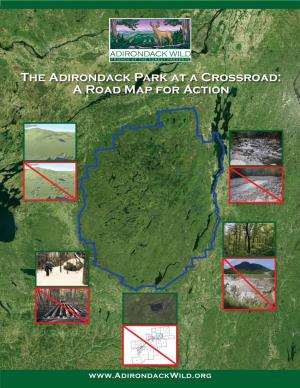 The Adirondack Park at a Crossroad: a Road Map for Action