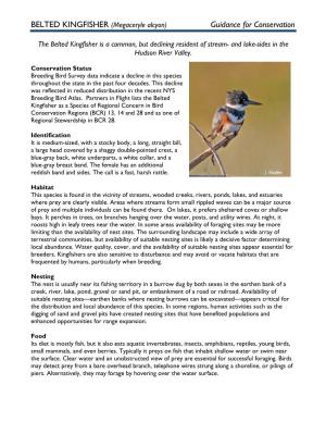 BELTED KINGFISHER (Megaceryle Alcyon) Guidance for Conservation