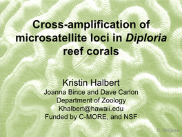 Cross-Amplification of Microsatellite Loci in Diploria Reef Corals