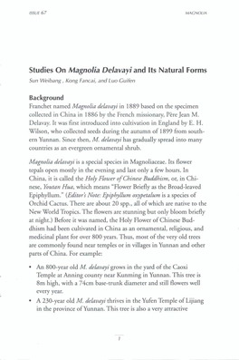 Issue 67 03-15 Studies on Magnolia