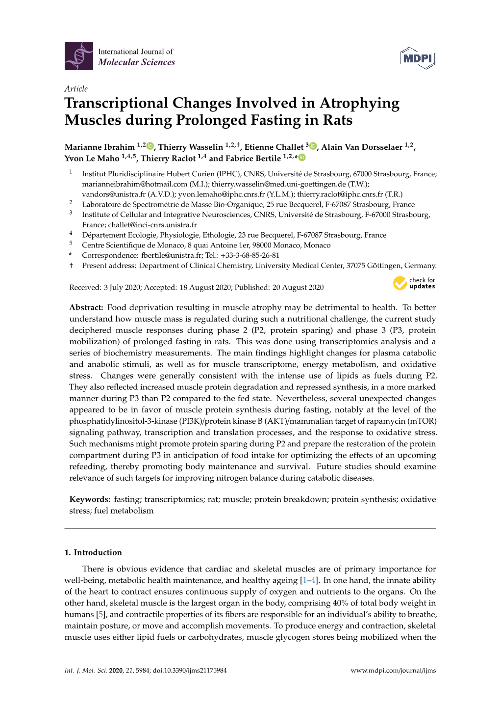 Transcriptional Changes Involved in Atrophying Muscles During Prolonged Fasting in Rats