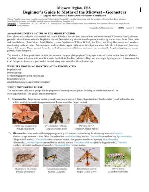 Beginner S Guide to Moths of the Midwest Geometers