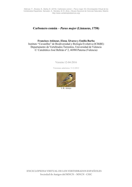 Carbonero Común – Parus Major (Linnaeus, 1758)
