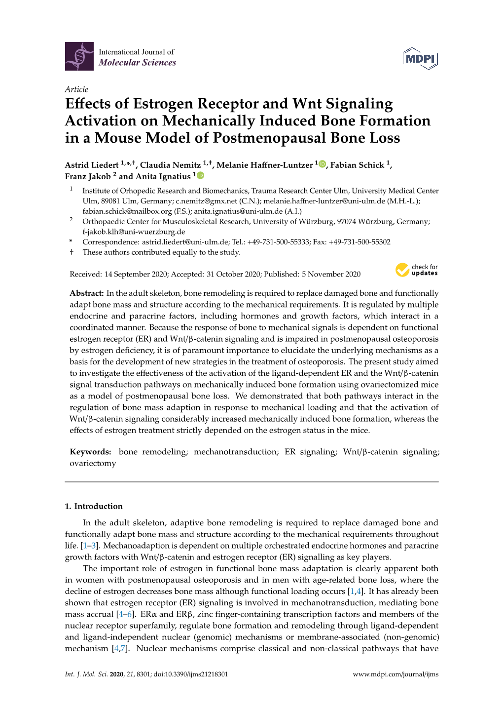 Effects of Estrogen Receptor and Wnt Signaling Activation On