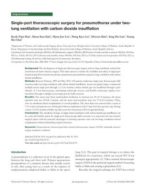 Lung Ventilation with Carbon Dioxide Insufflation
