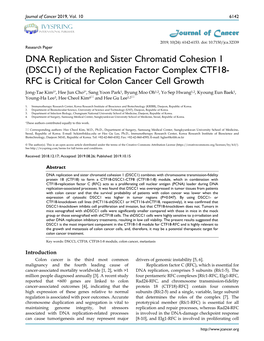 DNA Replication and Sister Chromatid Cohesion 1 (DSCC1)