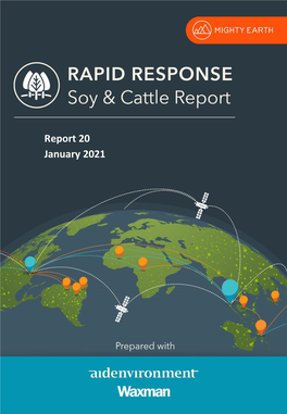 Report 20 January 2021