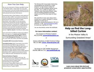 Help Us Find the Long- Billed Curlew