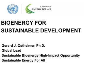 Bioenergy for Sustainable Development