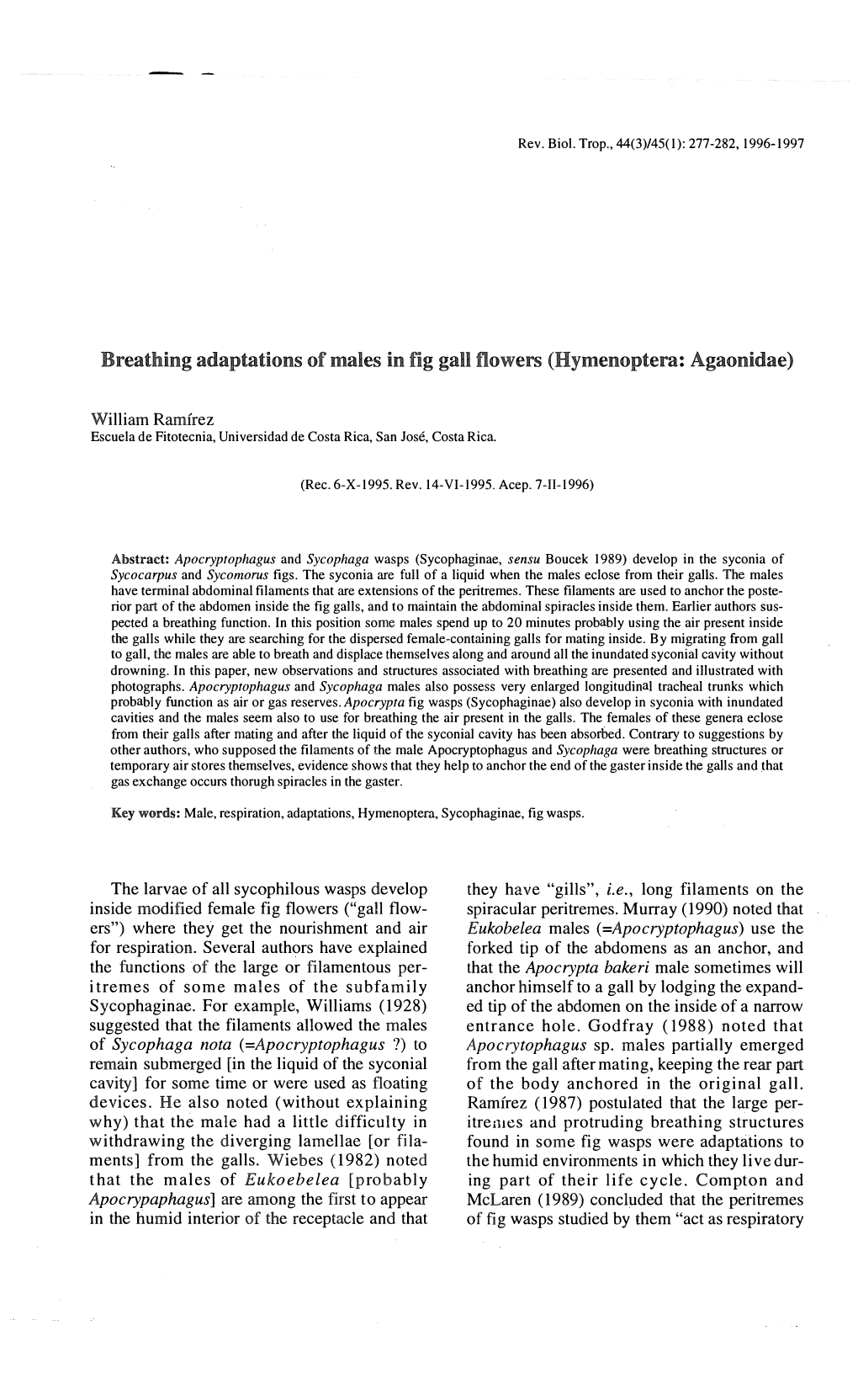 Breathing Adaptations of Males in Tig Gall Flowers (Hymenoptera: Agaonidae)