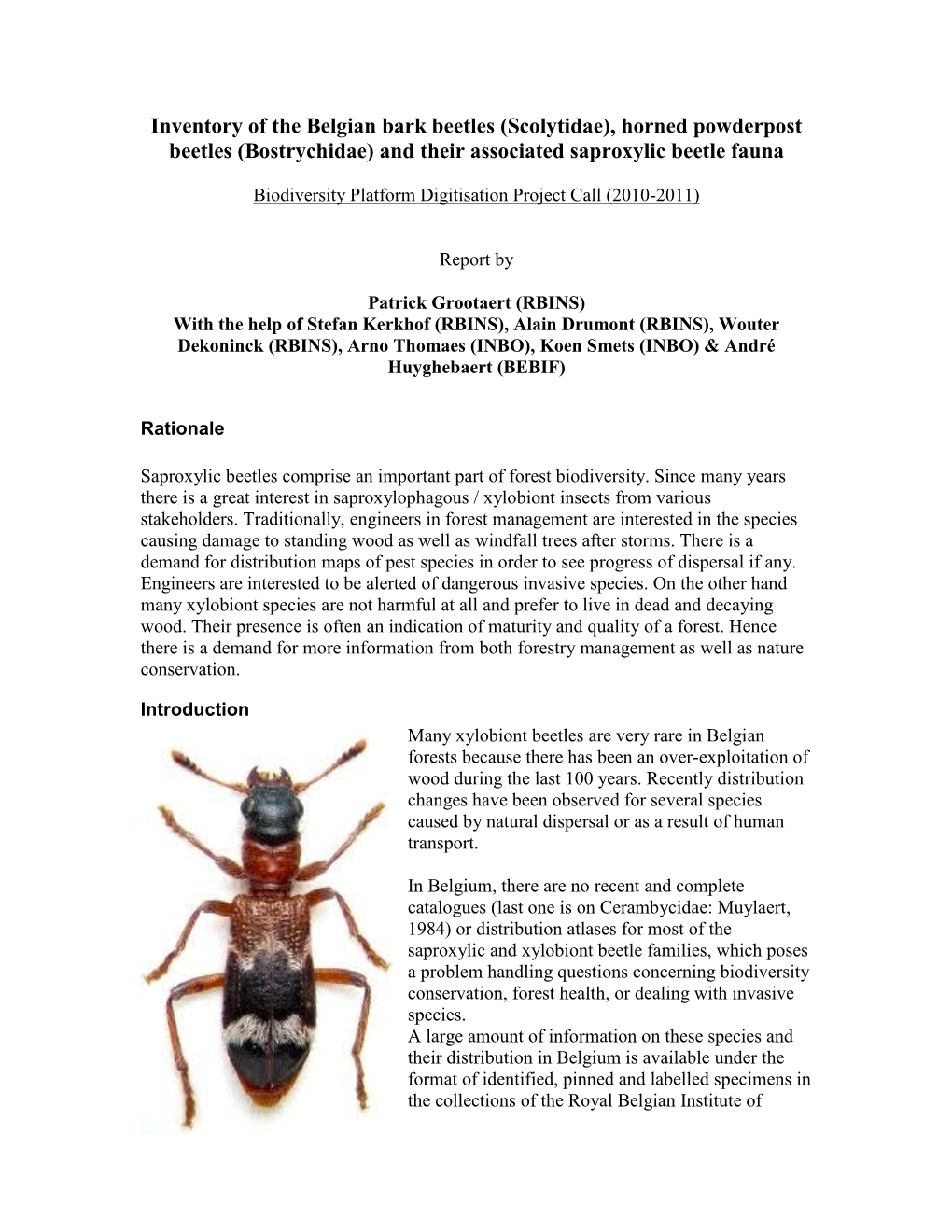 Inventory of the Belgian Bark Beetles (Scolytidae), Horned Powderpost Beetles (Bostrychidae) and Their Associated Saproxylic Beetle Fauna