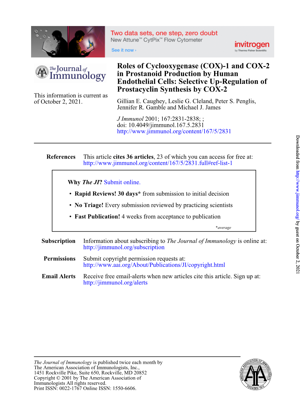 Prostacyclin Synthesis by COX-2 Endothelial Cells