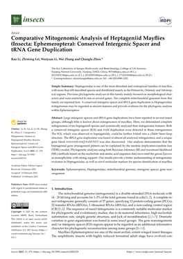 Comparative Mitogenomic Analysis of Heptageniid Mayflies
