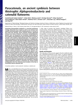 Paracatenula, an Ancient Symbiosis Between Thiotrophic Alphaproteobacteria and Catenulid ﬂatworms