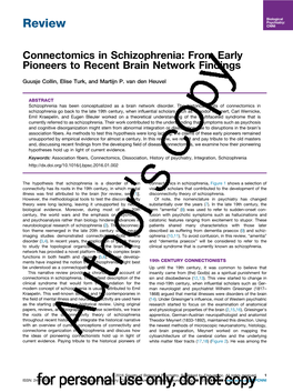 From Early Pioneers to Recent Brain Network Findings