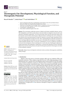 Thermogenic Fat: Development, Physiological Function, and Therapeutic Potential