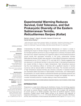 Experimental Warming Reduces Survival, Cold Tolerance, and Gut Prokaryotic Diversity of the Eastern Subterranean Termite, Reticulitermes ﬂavipes (Kollar)