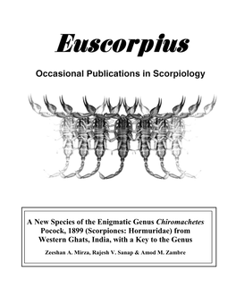 A New Species of the Enigmatic Genus Chiromachetes Pocock, 1899 (Scorpiones: Hormuridae) from Western Ghats, India, with a Key to the Genus