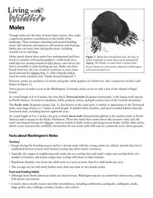 Facts About Washington's Moles