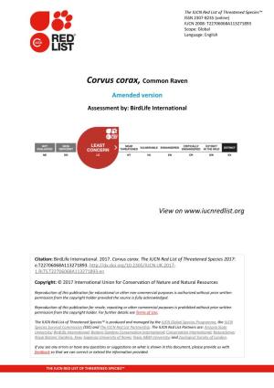 Corvus Corax, Common Raven Amended Version Assessment By: Birdlife International