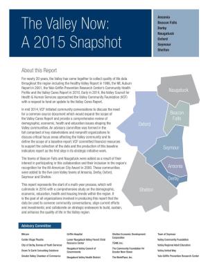 The Valley Now: a 2015 Snapshot 2