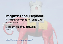 Imagining the Elephant Visioning Workshop 4Th June 2011 Summary Report