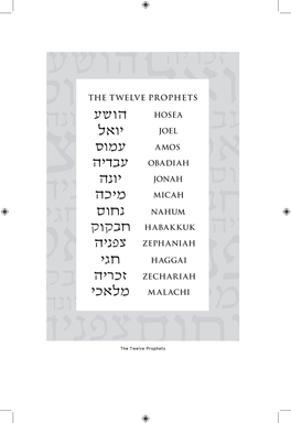 The Twelve Prophets Amos Through Malachi: Major Teachings of the Twelve Prophets