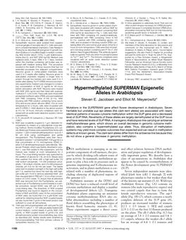 Hypermethylated SUPERMAN Epigenetic Alleles in Arabidopsis