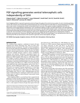 FGF Signalling Generates Ventral Telencephalic Cells Independently