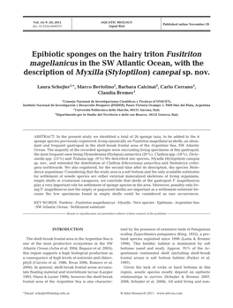 Epibiotic Sponges on the Hairy Triton Fusitriton Magellanicus in the SW Atlantic Ocean, with the Description of Myxilla (Styloptilon) Canepai Sp