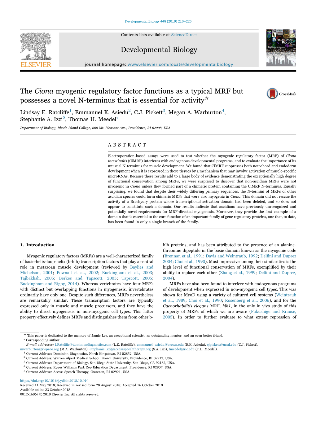 The Ciona Myogenic Regulatory Factor Functions As a Typical MRF but MARK Possesses a Novel N-Terminus That Is Essential for Activity☆