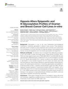 Hypoxia Alters Epigenetic and N-Glycosylation Profiles of Ovarian