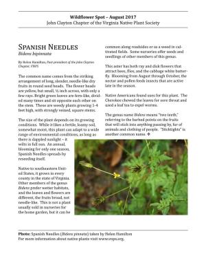 Spanish Needles Spreads by - Countynative Toin Southeasternthe State of Virginia